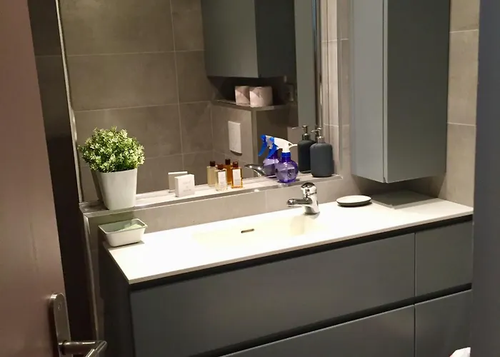 Apartment Petit Sympa En Centre *